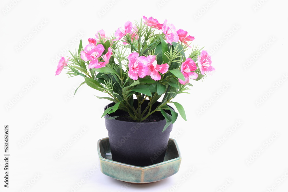 The artificial flower in the pot on white background