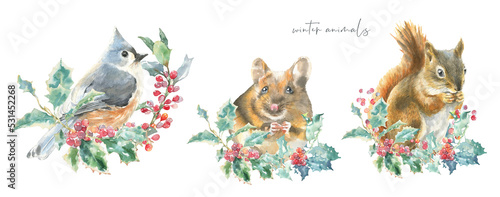 Watercolor squirrel,bird,mouse on fir tree branch Christmas illustration.Woodland winter forest nursery decoration greeting card, poster,invitation,baby shower, Merry Christmas,New Year print, sticker © Catherine