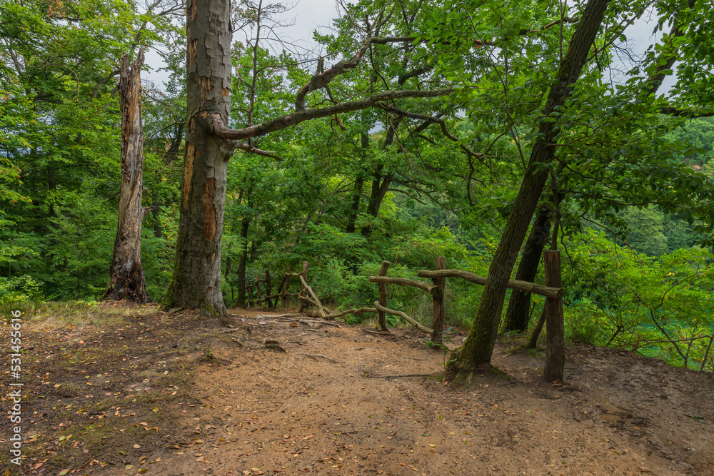 Beech Forest Landscape Park, Szczecin, West Pomeranian Voivodeship, Poland, Central Europe Beech Forest Landscape Park, Szczecin, West Pomeranian Voivodeship, Poland, Central Europe