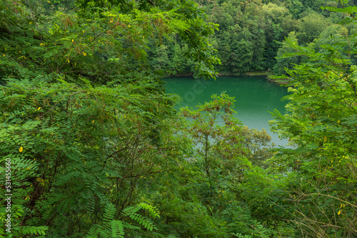 Emerald Lake at the Heart of Beech Forest, Szczecin, West Pomeranian Voivodeship, Poland, Central Europe