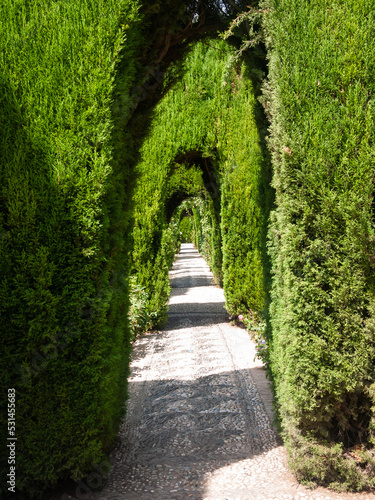 Moorish garden