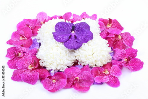 Pink  purple orchid flower and white chrysanthemum background