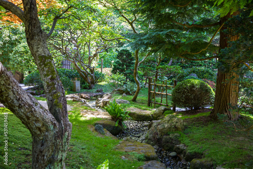 Japanese garden in summer