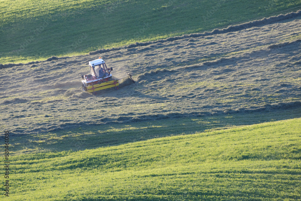 Sloping Rakes Mountain farmer rakes on the green steep slope in the evening light ...