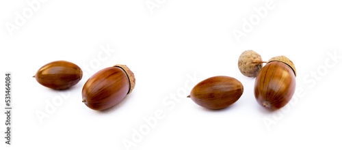 Wallpaper Mural Ripe acorns isolated on a white background Torontodigital.ca