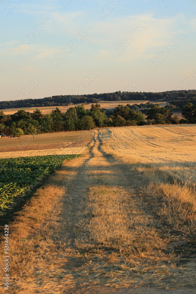 Blick über das Heckengäu bei Weissach in der Abenddämmerung