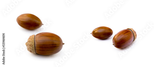 Wallpaper Mural Ripe acorns isolated on a white background Torontodigital.ca