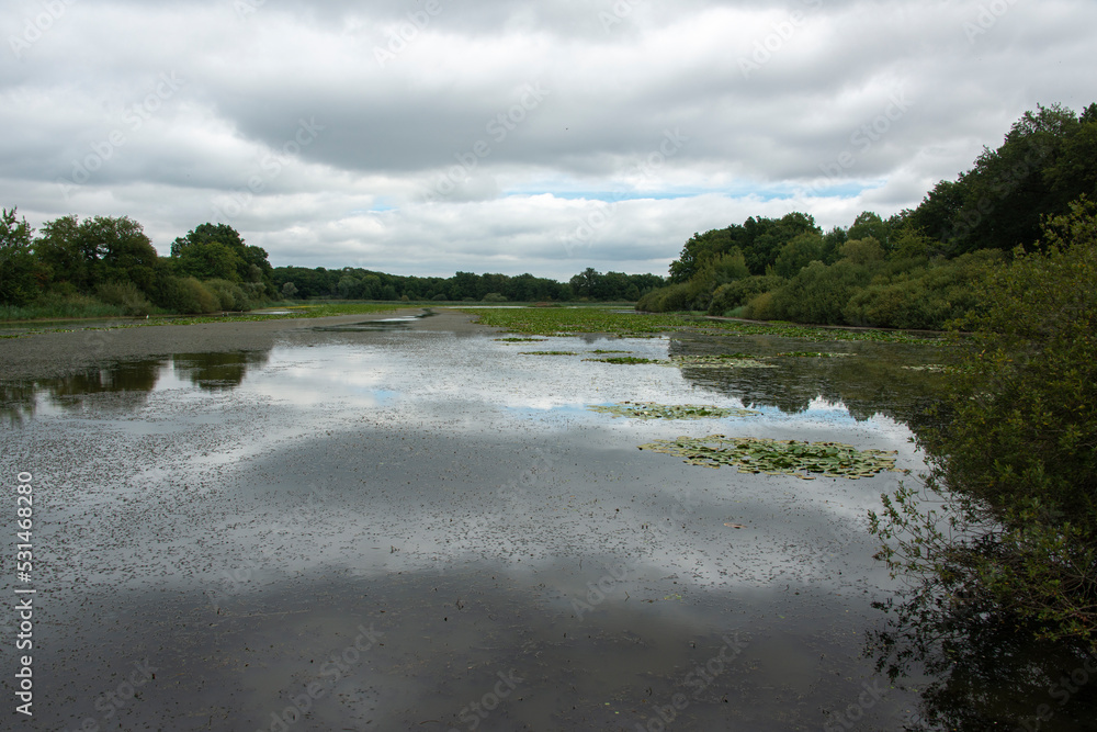 Etangs d'Outines et d'Arrigny, Lac du Der, Chantecoq, Haute Marne, 52, Marne, 51