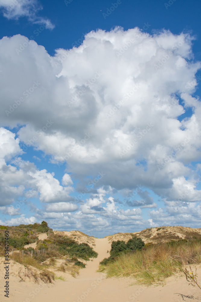 Hiking trail in sand dunes in 'de Panne' Belgium, with beautiful white clouds.