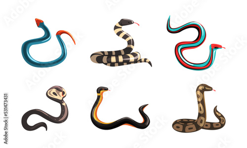Set of snakes. Tropical serpents, wild dangerous reptiles cartoon vector illustration