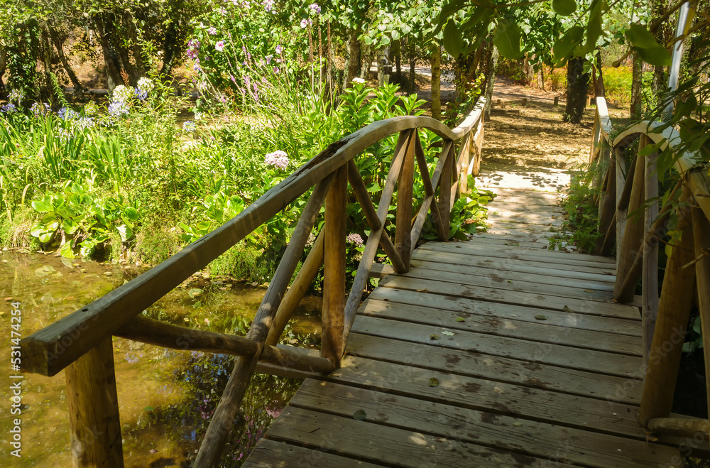 Rustic wooden bridge over a stream. Walking paths in the natural park
