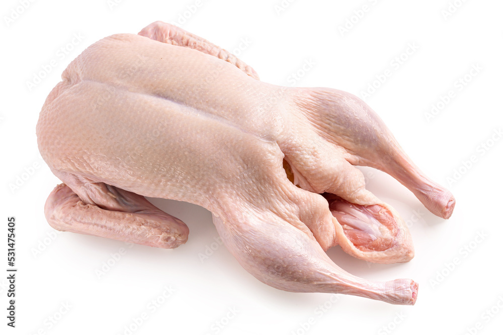 Fototapeta premium Raw and uncooked whole duck isolated on white background