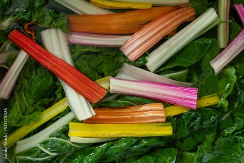 Closeup of assorted colorful stems of Swiss Chard vegetables soaked in water photo