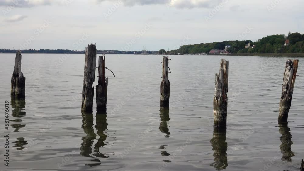 Alte Holzpfähle am Strelasund, Insel Rügen, Deutschland Alte Holzpfähle am Strelasund, Insel Rügen, Deutschland