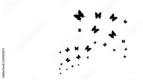 Abstract Black Line Silhouette Butterfly Butterflies Insects Bugs Vector Icon Nature Design Style Decoration Cartoon Background Isolated