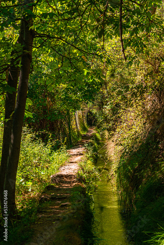 Ruta botanica del rio Ebrón en Teruel