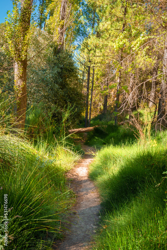 Ruta botanica del rio Ebr  n en Teruel