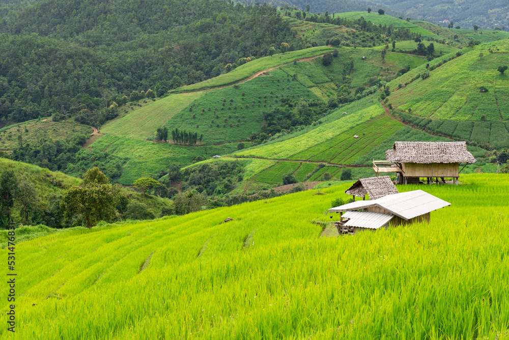 Landscape of small hut and Green Rice Terrace in Rainy Season at Ban Pa Pong Piang, Chiangmai, Thailand