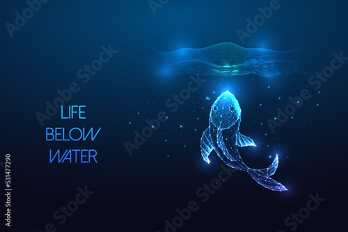  Life below water as part of sustainable development goals concept with fish underwater on blue