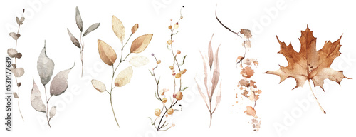 Watercolor floral set of orange and gray autumn leaves, branches, twigs. Isolated greenery illustration. 
