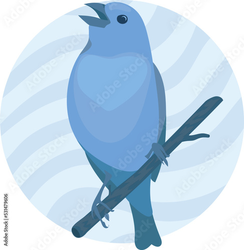 blue bird, vector, illustration isolated on white background