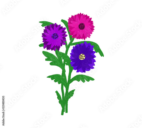 Asters, bouquet with flowers, color drawing, on a transparent background, for design and print