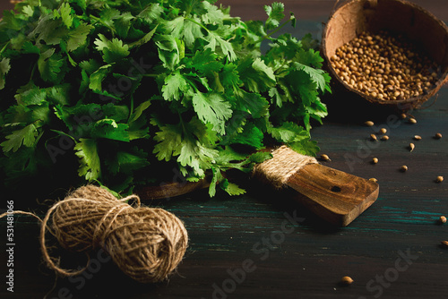 bunch of fresh Cilantro, coriander seeds, on a dark wooden table, close-up, top view, no people.