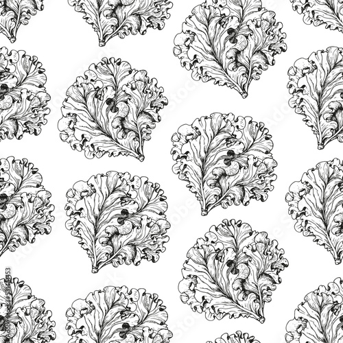 Lettuce seamless pattern. Hand drawn background. Vector illustration. Hand drawing sketch illustration. Lettuce leaf hand drawn backdrop.
