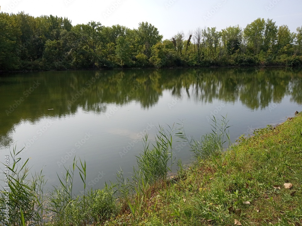 reflection of trees in the water