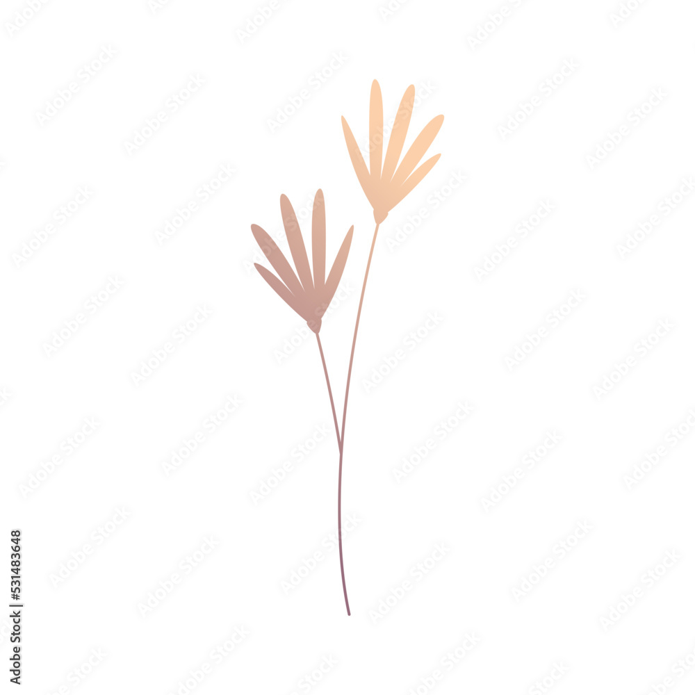 autumn leaf foliage autumn leaf foliage