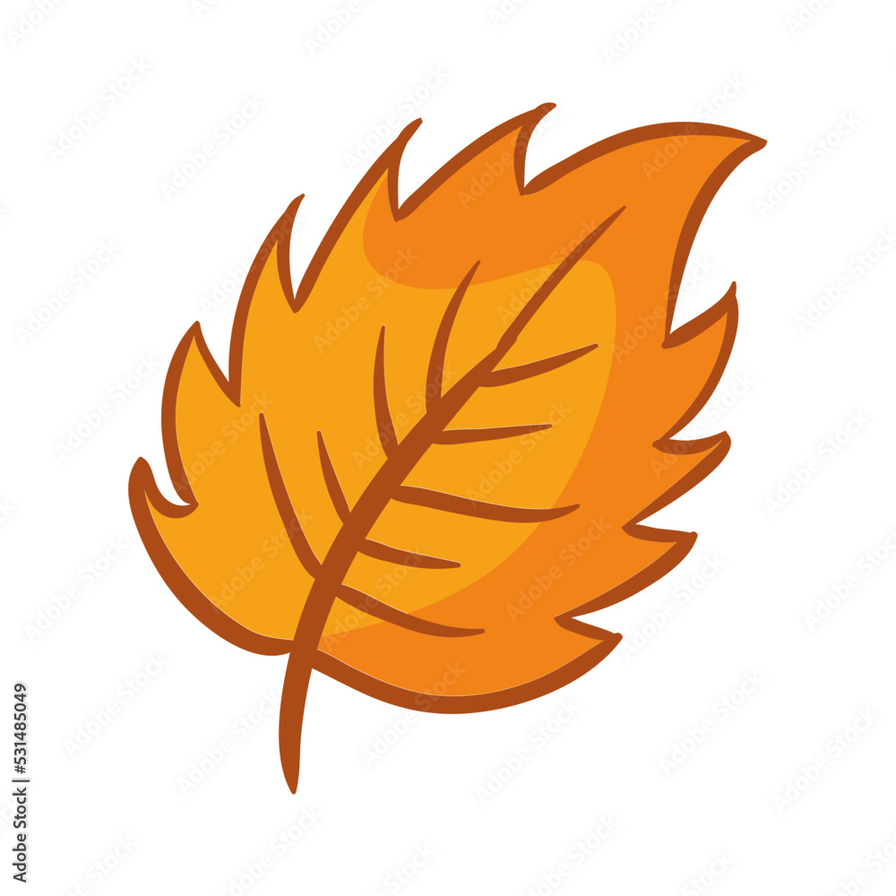 autumn foliage leaves summer autumn foliage leaves summer