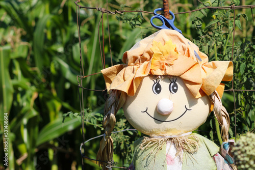 Scarecrow in my mother's garden 2022, Maryville, TN photo