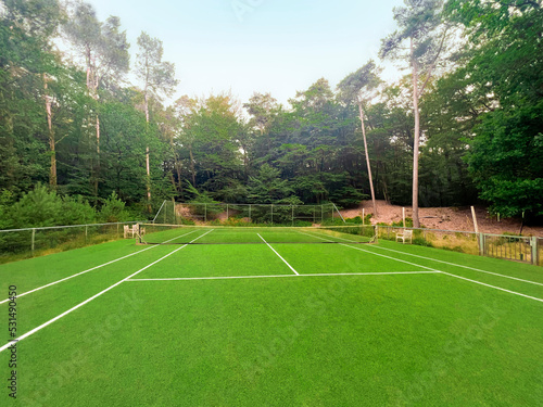 Tennis court with green grass and net outdoors © New Africa