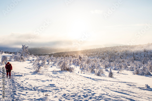 Winter landscape in Pallas Yllastunturi National Park, Lapland, Finland