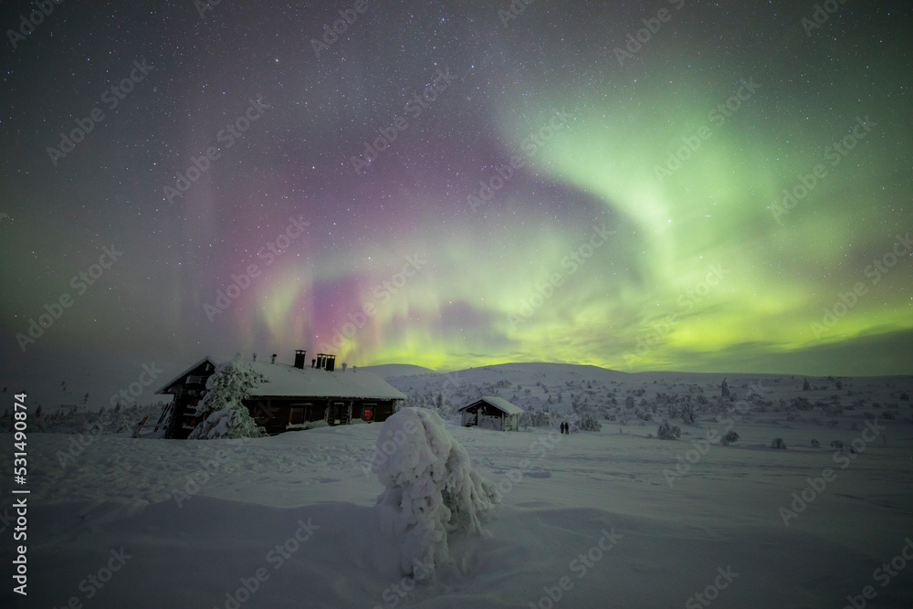 Fototapeta premium Northern lights in Pallas Yllastunturi National Park, Lapland, Finland
