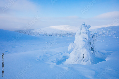 cold, trekker, expedition, wilderness, mountaineer, nature, view, outdoors, backcountry, mountain, travel, mountaineering, frozen, backpack, walking, extreme, snowy, ice, ski, snow, white, season, spo