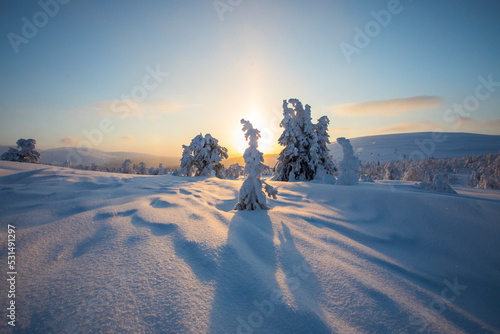 Winter landscape in Pallas Yllastunturi National Park, Lapland, Finland photo