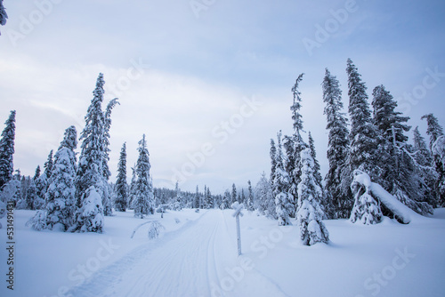 Winter landscape in Pallas Yllastunturi National Park, Lapland, Finland © Alberto Gonzalez 