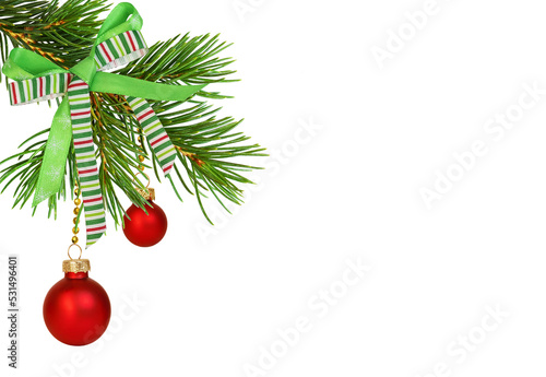 Twig of Christmas tree with...