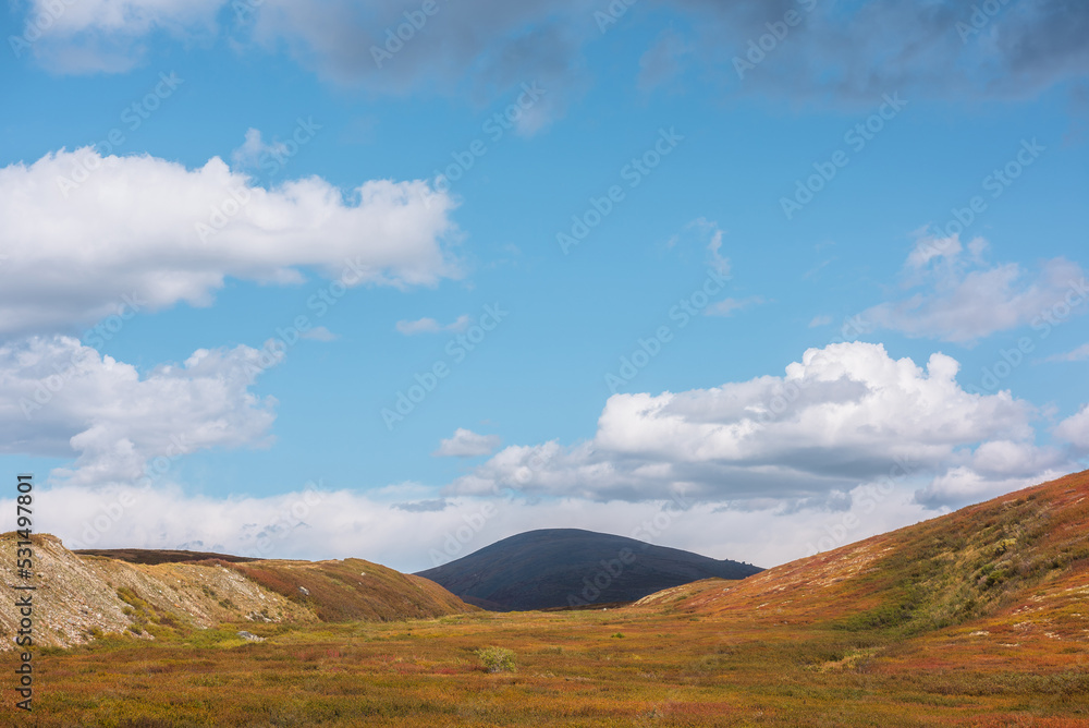 Motley autumn landscape with multicolor valley in sunlight and high dark mountain in shadow of large cloud in distance. Vivid autumn colors in mountains. Big black hill at far end of sunlit valley.