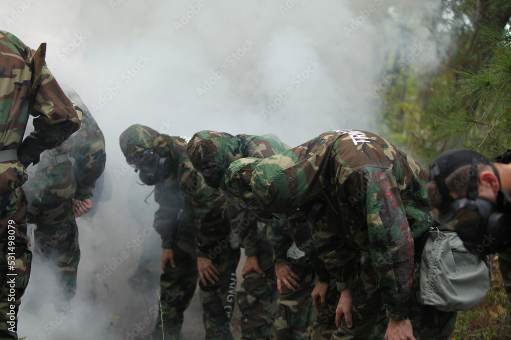Fototapeta premium US Marines Training.