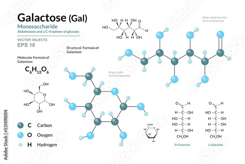 Galactose. Gal. Monosaccharide. Structural Chemical Formula and Molecule 3d Model. C6H12O6. Atoms with Color Coding. Vector Illustration