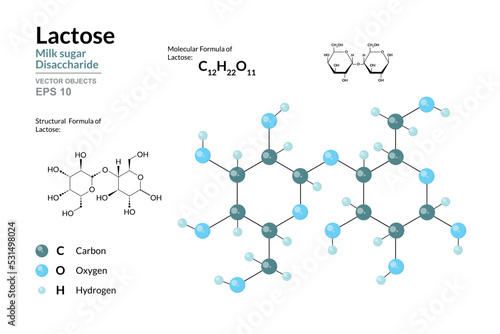 Lactose. Milk Sugar. Disaccharide. Structural Chemical Formula and Molecule 3d Model. C12H22O11. Atoms with Color Coding. Vector Illustration