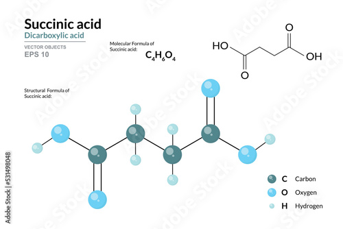 Succinic Acid. Food Additive E363. Structural Chemical Formula and Molecule 3d Model. C4H6O4. Atoms with Color Coding. Vector Illustration photo