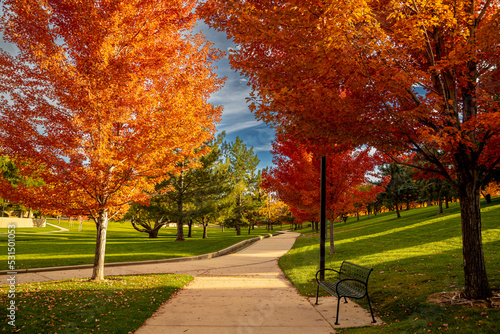 Peak Fall Color in south Denver Colorado urban park
