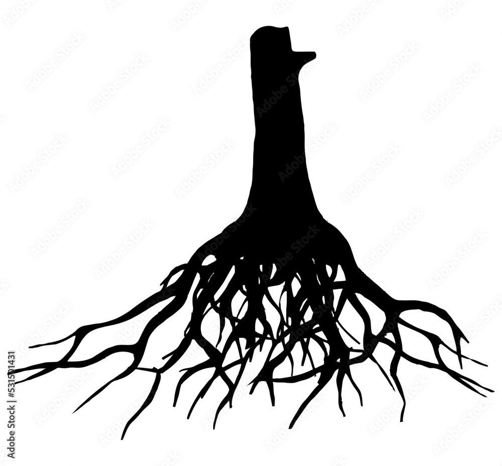 Editable black roots of a tree over the white background - obrazy, fototapety, plakaty 