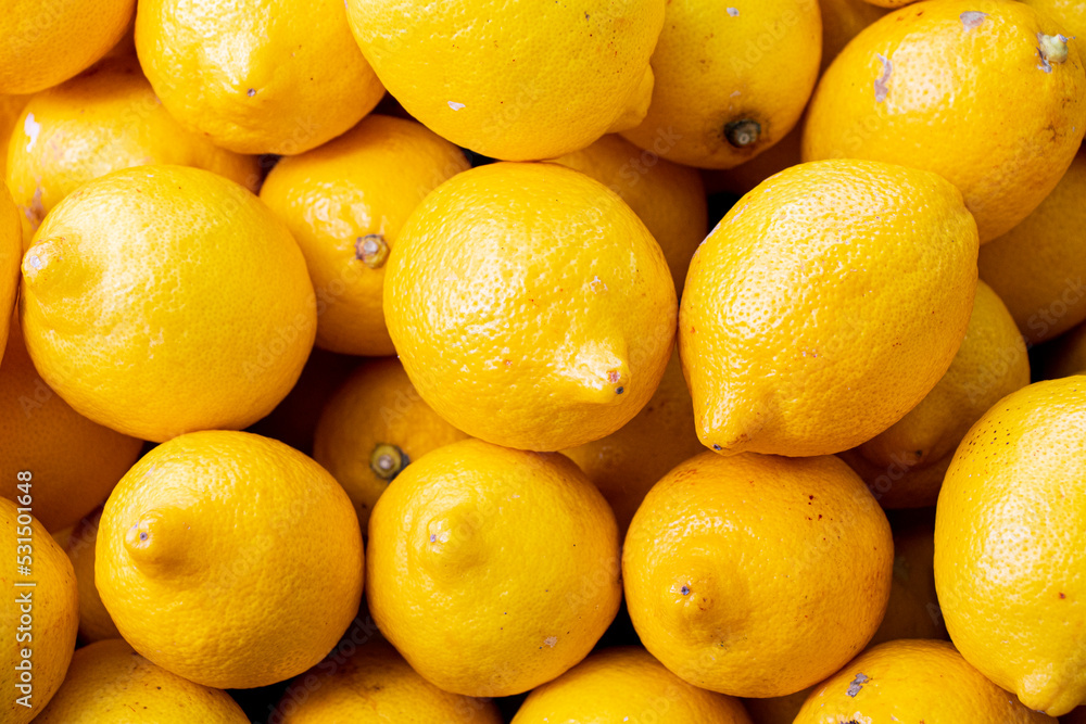 Lemon - Fresh and organic vegetables at farmers market - Turkish Market Lemon - Fresh and organic vegetables at farmers market - Turkish Market