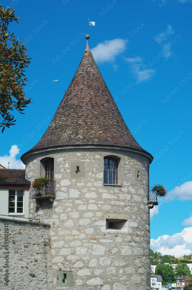 Fototapeta premium Laufen Castle (German: Schloss Laufen) - Details