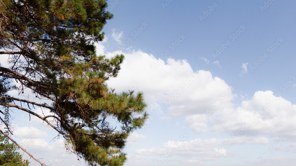 The scenery in the highlands autumn landscape overlooking the countryside with blue skies, the concept of natural relaxation tourism. The scenery in the highlands autumn landscape overlooking the countryside with blue skies, the concept of natural relaxation tourism.