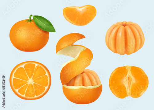 Sliced mandarin. Orange pieces healthy product peeled mandarin decent vector realistic templates